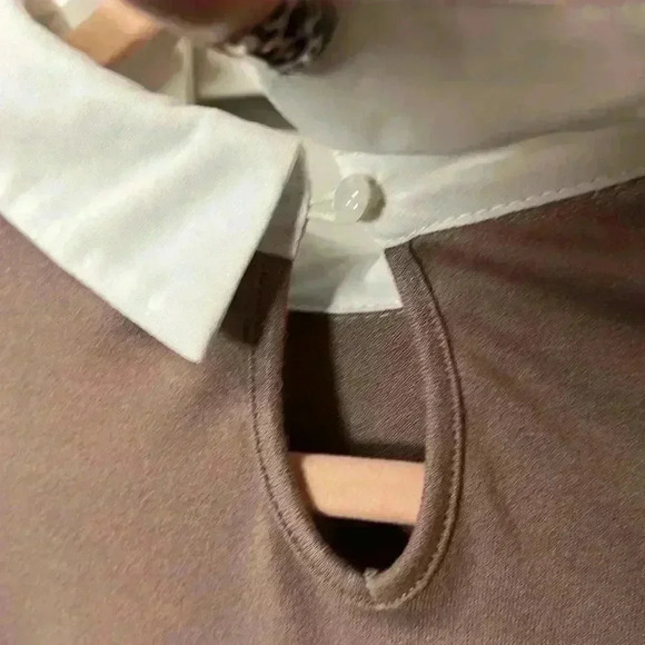 MISA Los Angeles Peter Pan Collar Swiss Dot Balloon Sleeve Top Size Large Taupe - Picture 6 of 7